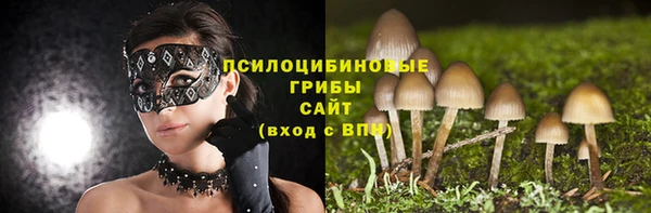 ПСИЛОЦИБИНОВЫЕ ГРИБЫ Алзамай
