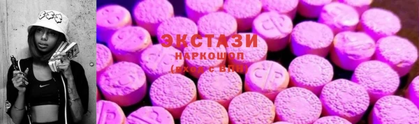 хмурый Алексин