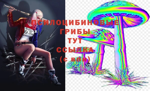 дурь Алексеевка