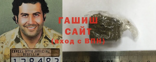 хмурый Алексин