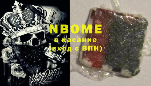 хмурый Алексин