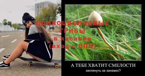 хмурый Алексин