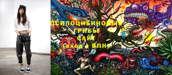 хмурый Алексин