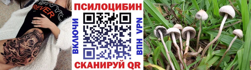 где можно купить наркотик  Ликино-Дулёво  Галлюциногенные грибы GOLDEN TEACHER 